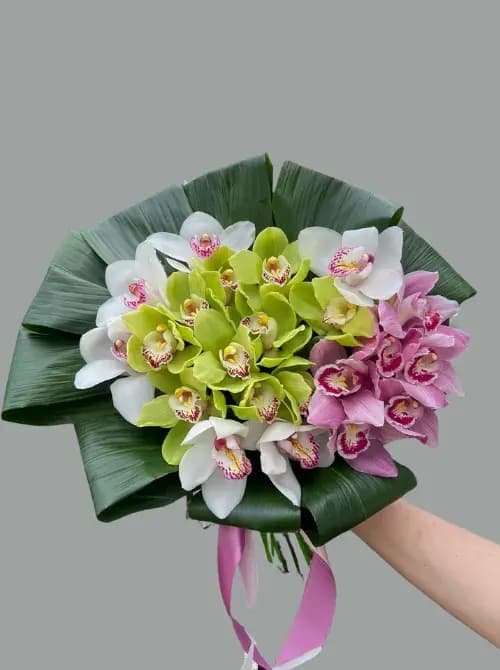 Заказать букет из 25 орхидей с доставкой в Сочи