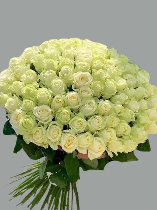 Букет из 101 белой розы — доставка по Сочи