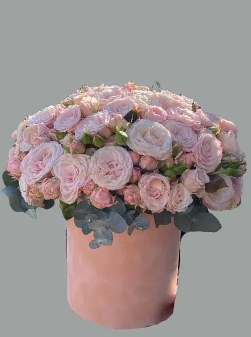  31 пионовидные розы в коробке | Доставка в Сочи