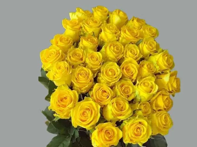 Жёлтые Розы 39 штук -доставка цветов Сочи