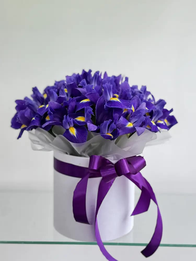 Доставка 27 синих ирисов в коробке по Сочи
