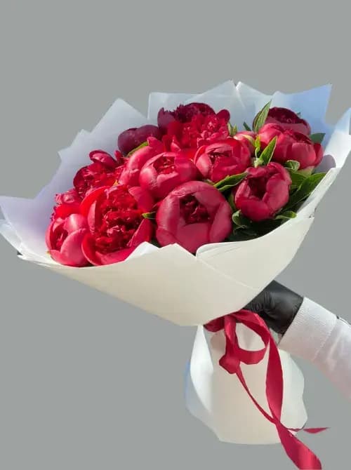 Красные пионы