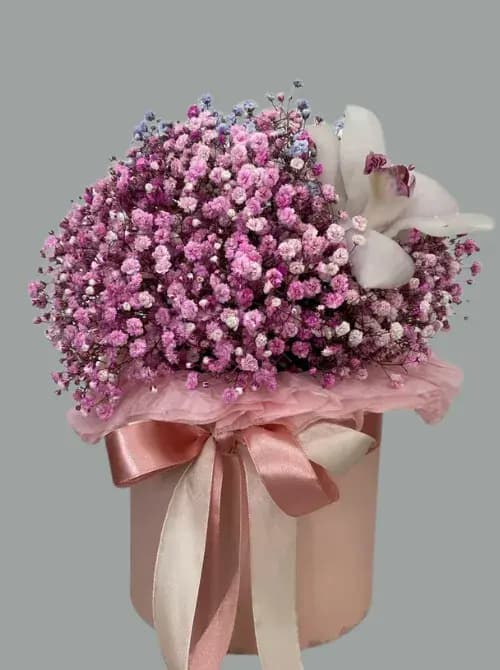 Коробка из гипсофилы и орхидей в Сочи