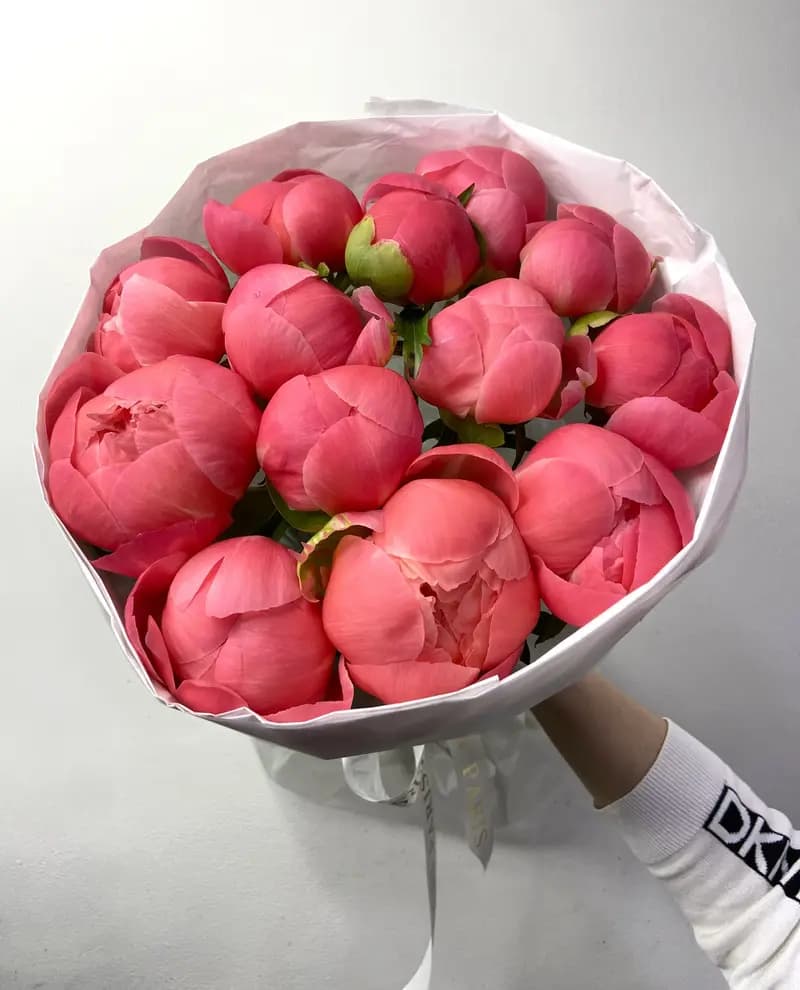 Коралловые пионы – Доставка цветов Сочи