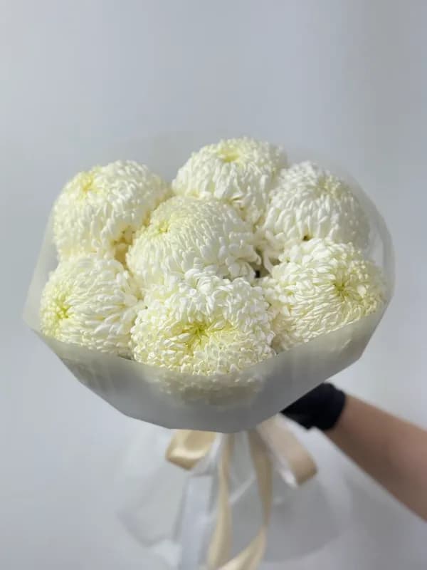 Белоснежная Нежность