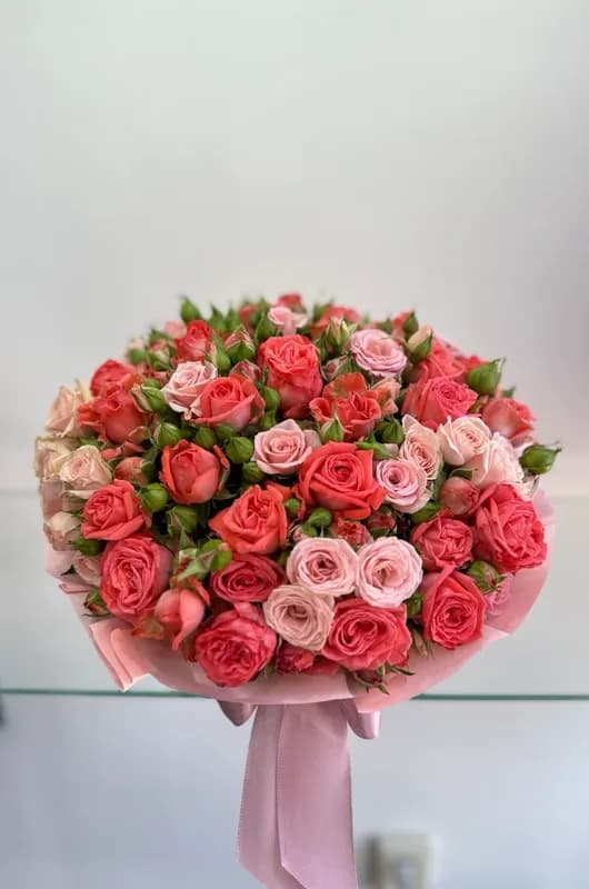 «Сочинское облако»